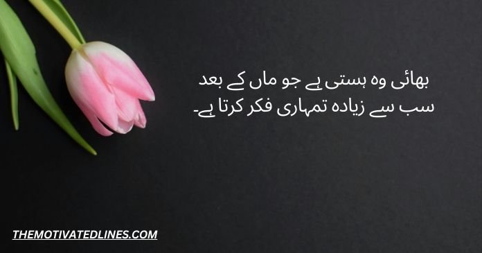 quotes for brother in urdu 