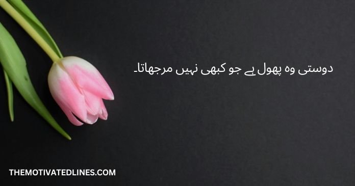 quotes on friends in urdu 