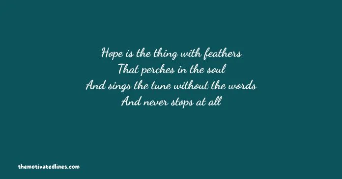 Heart Touching Poetry in English