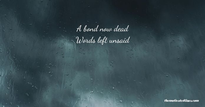 19 6