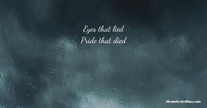 9 6